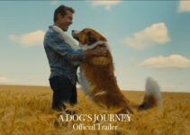 A Dog’s Journey (2019) | Câinele, adevăratul meu prieten 2